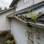 Signs Your Gutters Need Cleaning In Calgary