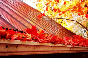 Gutter and Downspout Maintenance
