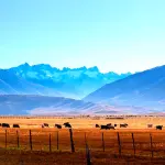 Local Eavestrough Experts: Serving Calgary & The Foothills